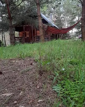 Zapach Lasu *